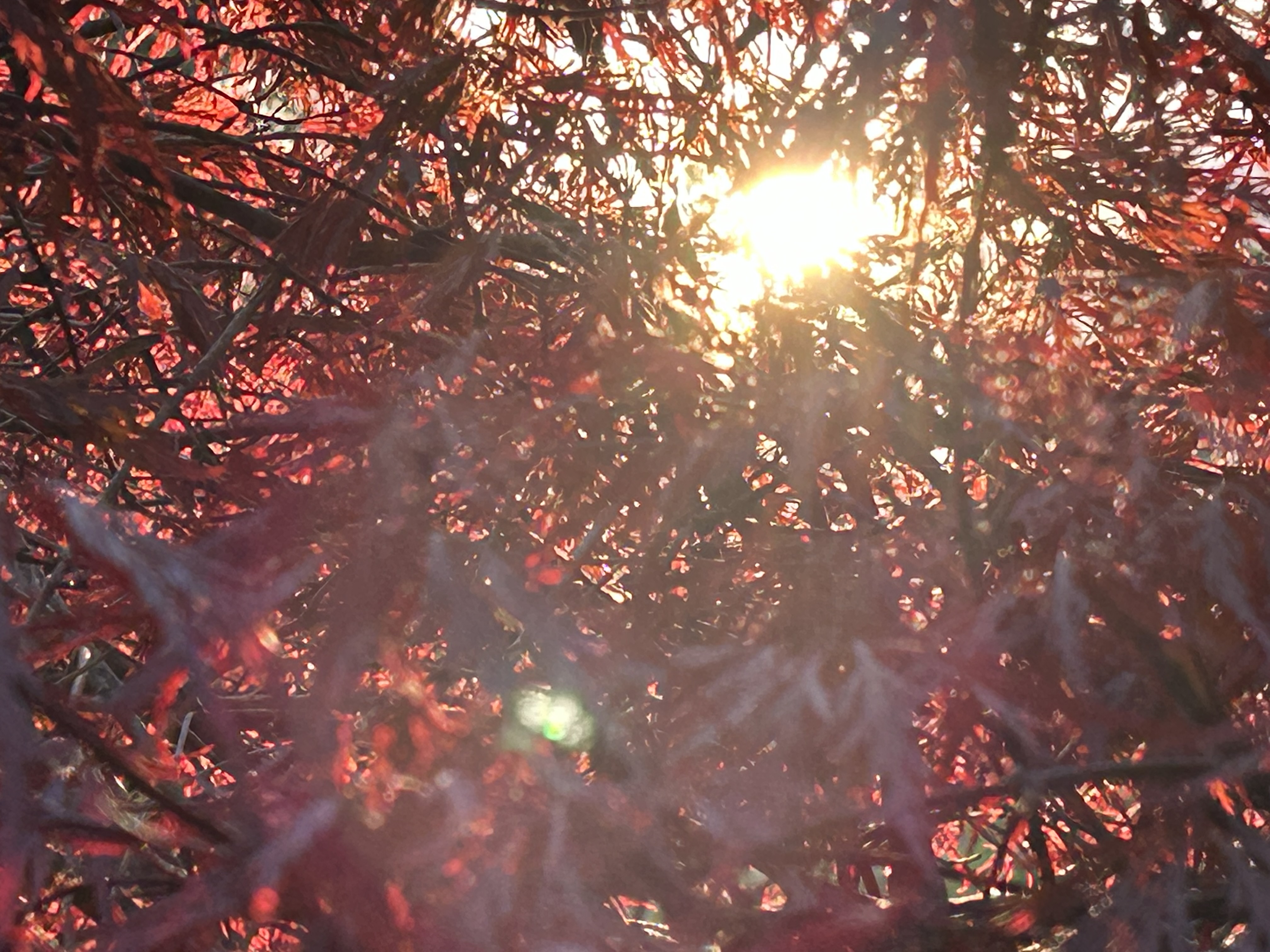 Decorative gradient background